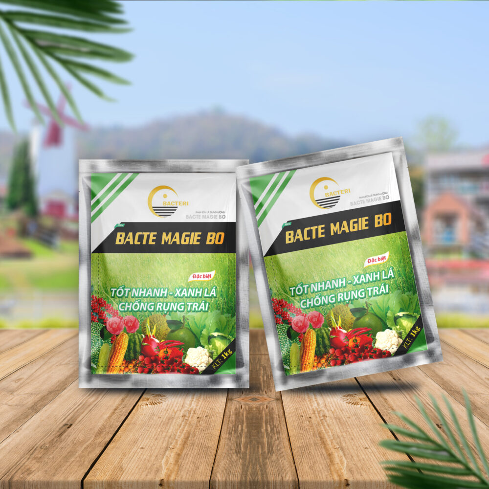 Bacte Magie Bo (Loại 1 Kg)