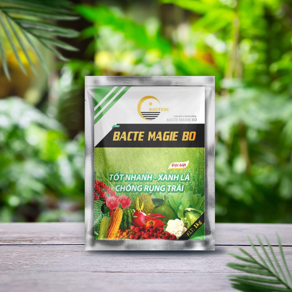 Bacte Magie Bo (Loại 1 Kg)