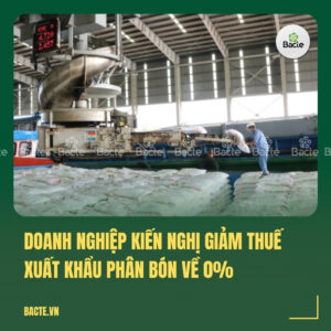 Doanh nghiệp kiến nghị giảm thuế xuất khẩu phân bón về 0% (1)