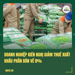 Doanh nghiệp kiến nghị giảm thuế xuất khẩu phân bón về 0%
