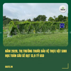 Năm 2028, thị trường thuốc bảo vệ thực vật sinh học toàn cầu sẽ đạt 13,9 tỷ USD