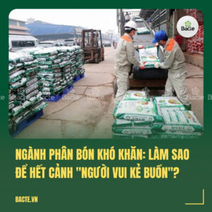 Ngành phân bón khó khăn Làm sao để hết cảnh người vui kẻ buồn