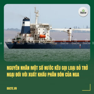 Nguyên nhân một số nước kêu gọi loại bỏ trở ngại đối với xuất khẩu phân bón của Nga