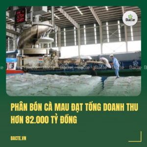 Phân Bón Cà Mau đạt tổng doanh thu hơn 82.000 tỷ đồng