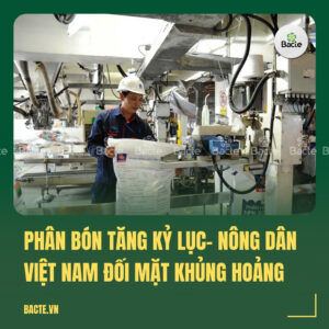 Phân bón tăng kỷ lục- Nông dân Việt Nam đối mặt khủng hoảng