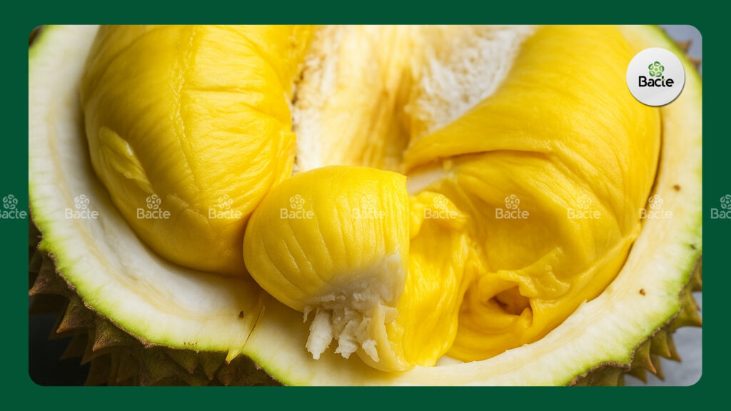 Sầu riêng chín hoá