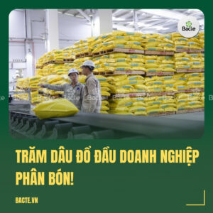 Trăm dâu đổ đầu doanh nghiệp phân bón!