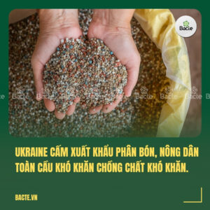 Ukraine cấm xuất khẩu phân bón, nông dân toàn cầu khó khăn chồng chất khó khăn.