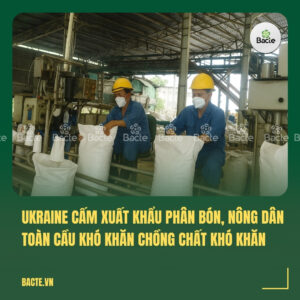Ukraine cấm xuất khẩu phân bón, nông dân toàn cầu khó khăn chồng chất khó khăn. (1)