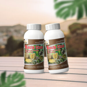 Bacte Cisa (Loại chai 500ML)