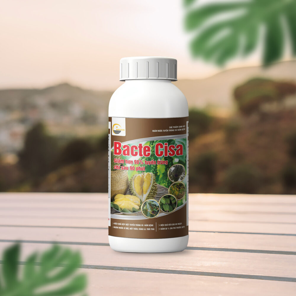 Bacte Cisa (Loại chai 500ML)