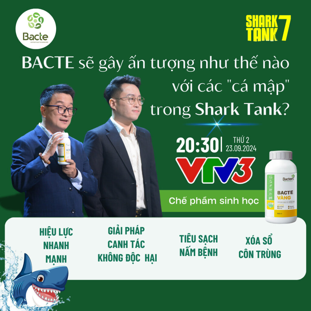 Bacte 