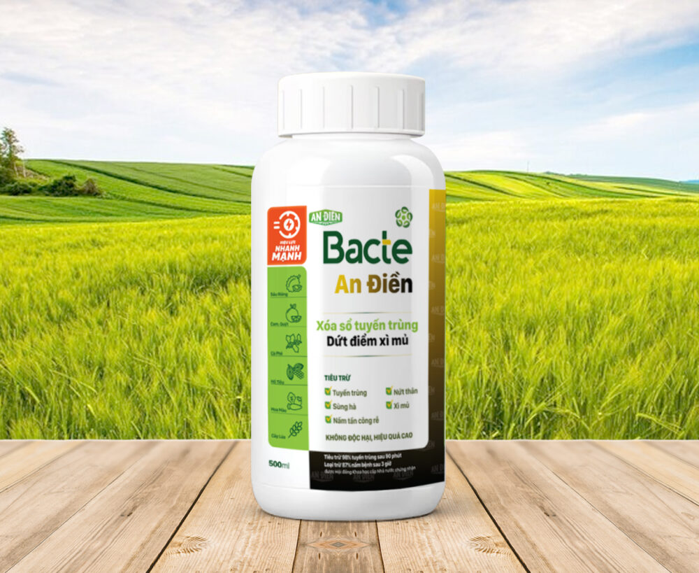 BACTE AN ĐIỀN