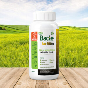 BACTE AN ĐIỀN