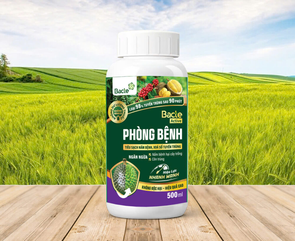 Chế Phẩm Sinh Học Bacte Active Phòng Bệnh