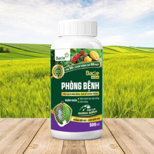Chế Phẩm Sinh Học Bacte Active Phòng Bệnh