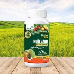 Chế Phẩm Sinh Học Bacte Active Ruồi Vàng