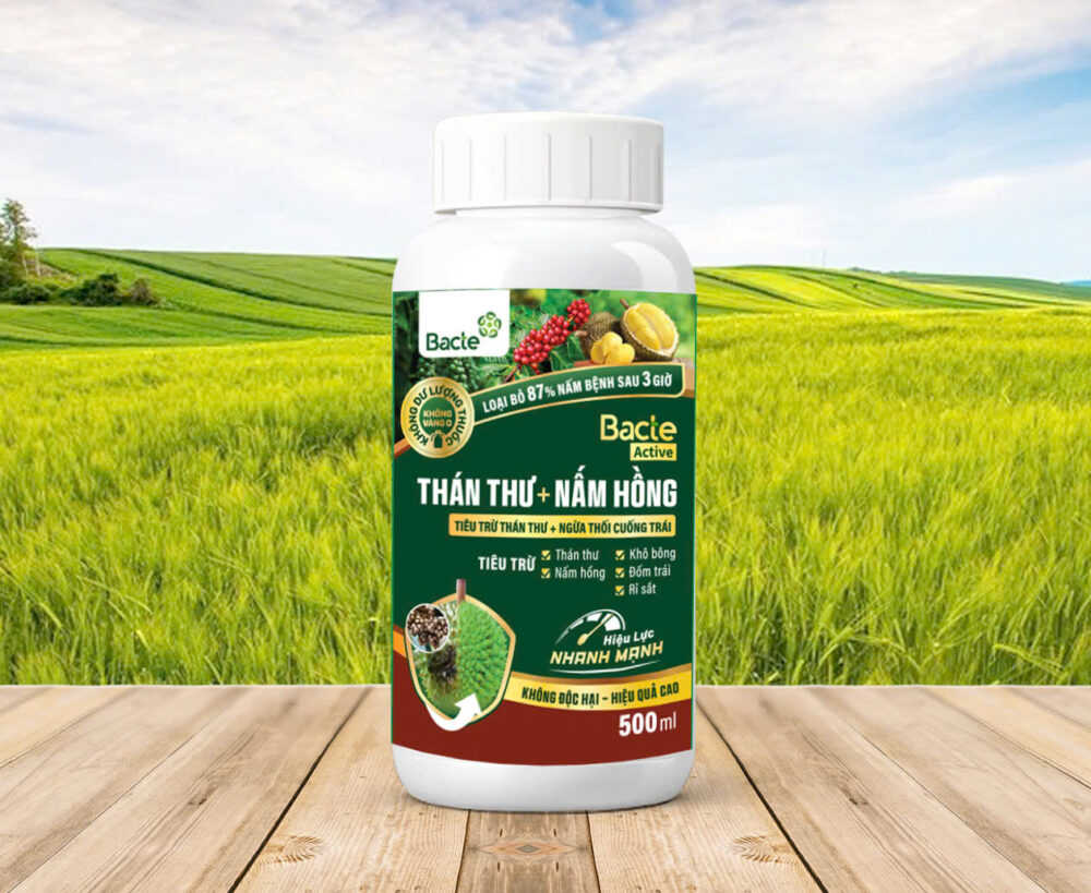 Chế Phẩm Sinh Học Bacte Active Thán Thư + Nấm Hồng