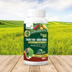 Chế Phẩm Sinh Học Bacte Active Thán Thư - Nấm Hồng