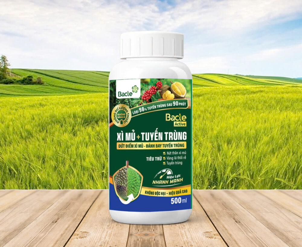 Chế Phẩm Sinh Học Bacte Active Xì Mủ + Tuyến Trùng