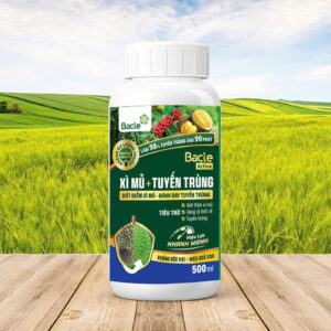 Chế Phẩm Sinh Học Bacte Active Xì Mủ - Tuyến Trùng
