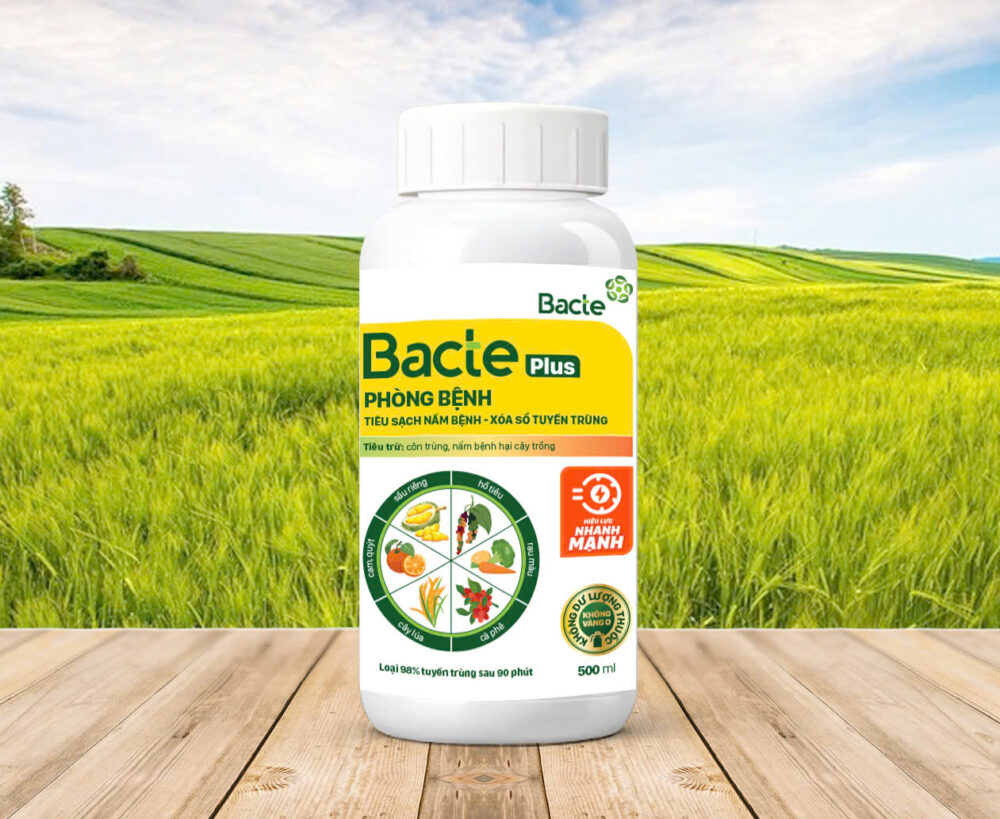 Chế Phẩm Sinh Học BACTE PLUS PHÒNG BỆNH