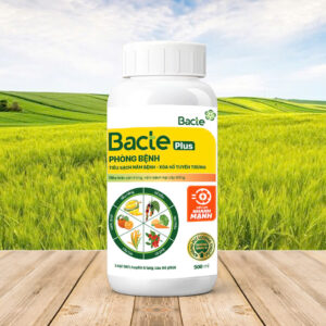 Chế Phẩm Sinh Học BACTE PLUS PHÒNG BỆNH