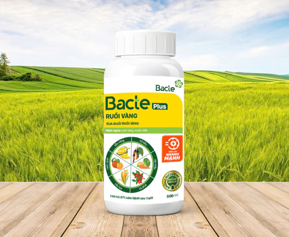Chế Phẩm Sinh Học BACTE PLUS RUỒI VÀNG