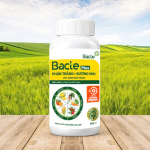 Chế Phẩm Sinh Học BACTE PLUS PHẤN TRẮNG + SƯƠNG MAI
