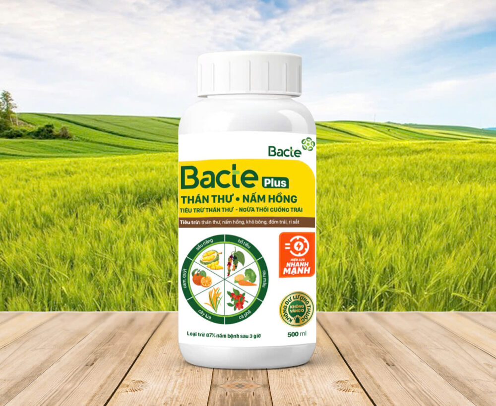 Chế Phẩm Sinh Học Bacte Plus Thán Thư - Nấm Hồng