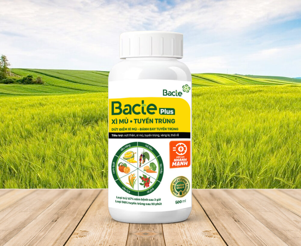 Chế Phẩm Sinh Học Bacte Plus Xì Mủ - Tuyến Trùng