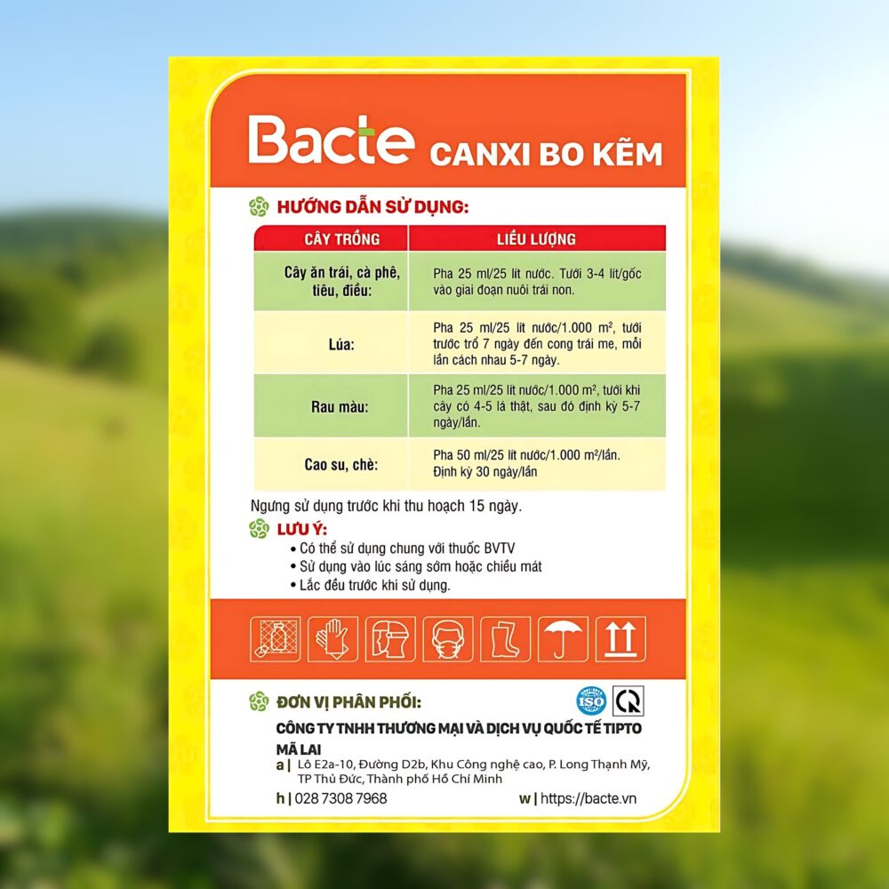 Bacte Canxi Bo Kẽm
