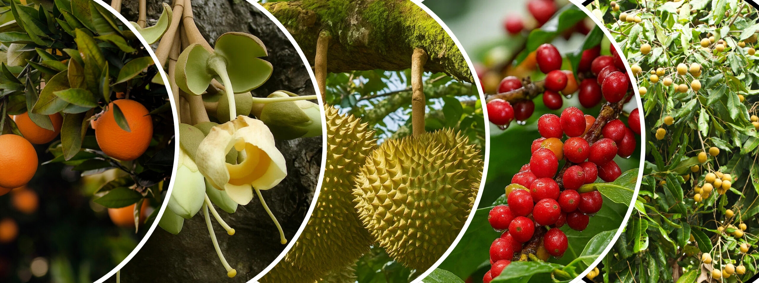 trang kỹ thuật bacte