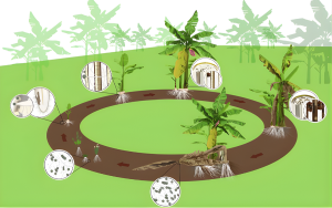 Đất và nước tưới tiêu nhiễm nấm là nguồn lây nhiễm quan trọng của bệnh héo vàng. Ảnh PPRI