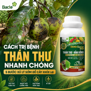 5-buoc-xu-ly-benh-than-thu-nhanh-chong