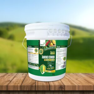 BACTE 555 Active AMINO COMBI (XÔ 20KG)