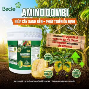 BACTE 555 Active AMINO COMBI
