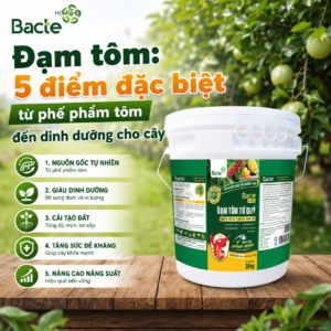 ĐẠM TÔM LÀ GÌ