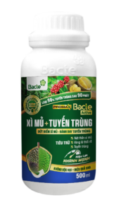 Bacte Active Xì mủ - Tuyến trùng Promax giúp phòng trừ tuyến trùng