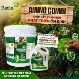 Phân bón amino combi