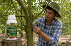 BACTE ACTIVE THÁN THƯ - NẤM HỒNG PROMAX hỗ trợ chăm sóc vườn có bệnh nấm hồng