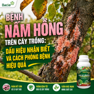 phòng-trừ-bệnh-nấm-hồng
