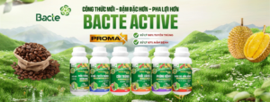 Bộ sản phẩm Bacte Active Promax
