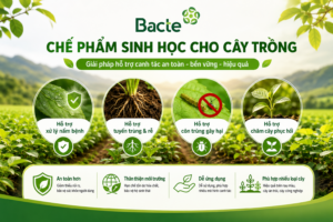 Chế phẩm sinh học cho cây trồng