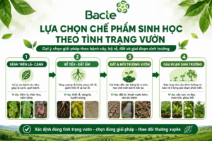 Lựa chọn chế phẩm sinh học theo tình trạng vườn