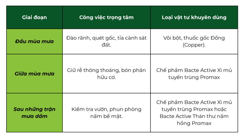 Lịch chăm sóc phòng xì mủ cây sầu riêng mùa mưa