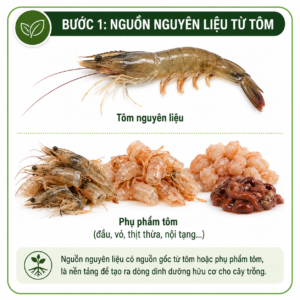 Nguyên liệu tạo nên đạm tôm
