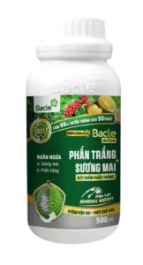 Bacte Active Phấn trắng - Sương mai Promax