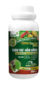 Bacte Active Thán thư - Nấm hồng Promax