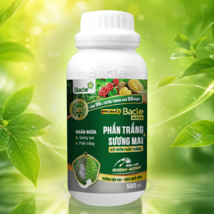 Bacte Active Phấn trắng - Sương mai Promax